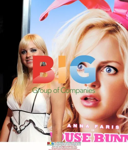 Anna Faris at 'The House Bunny' Premiere