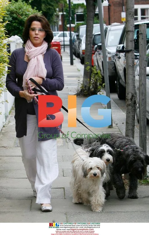 Pregnant Natasha Kaplinsky walks dogs