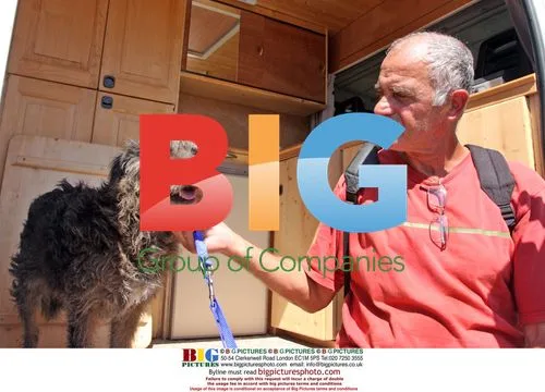 Louis Bucci Reunited with Lost Dog Zazie