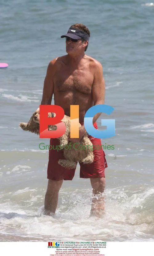 David Hasselhoff at the beach