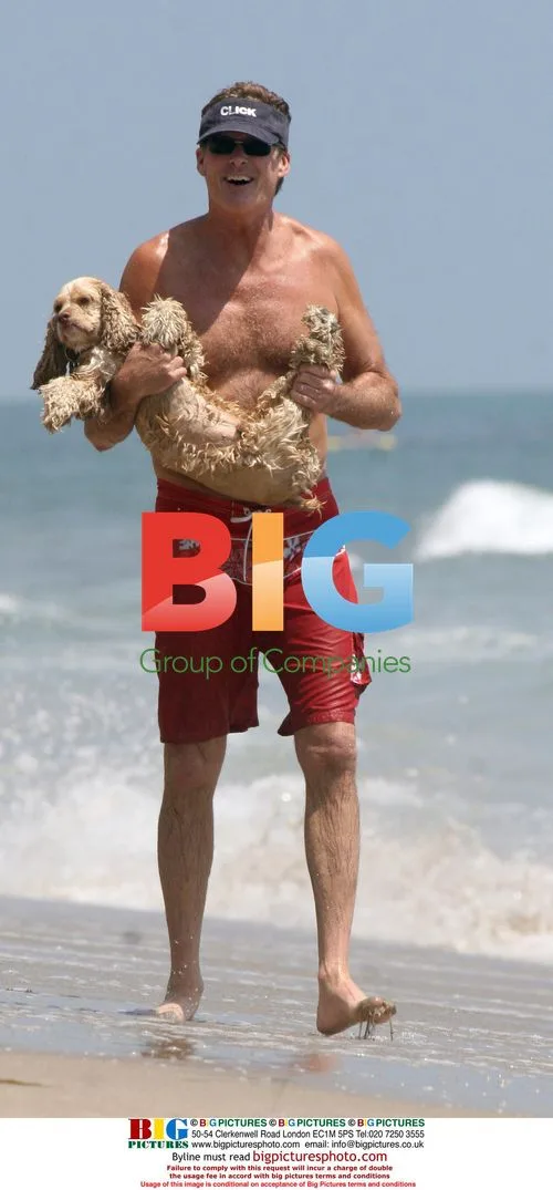 David Hasselhoff Bodysurfing Beach Day