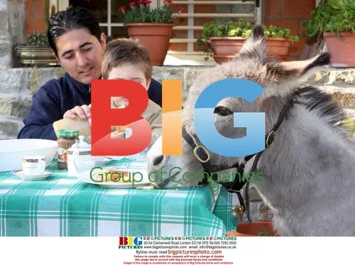 Family's Sardinian Donkey 'Magico' Treated as Pet