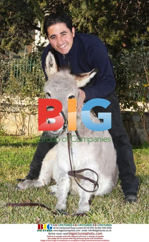 Sardinian Donkey Treated Like Family Pet