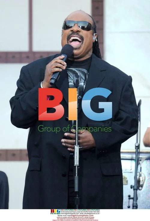 Stevie Wonder performs at DNC 2008