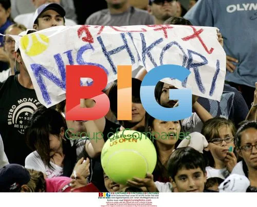 Nishikori defeats Ferrer at US Open