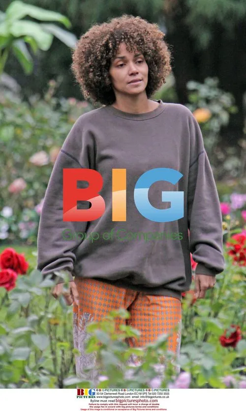Halle Berry, Stellan Skarsgrd on set of Frankie and Alice