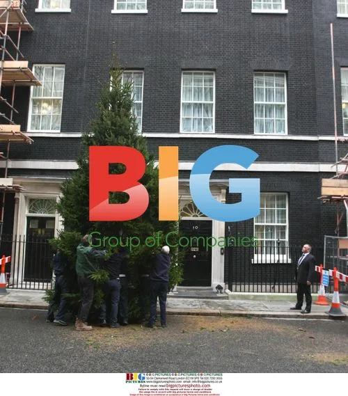 Christmas Tree Delivery to 10 Downing Street