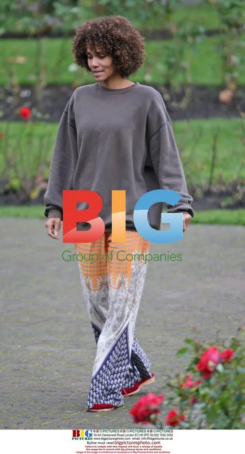 Halle Berry, Stellan Skarsgrd Film 'Frankie and Alice'