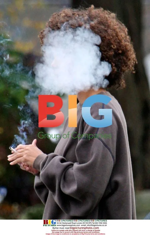 Halle Berry, Stellan Skarsgrd Film 'Frankie and Alice'