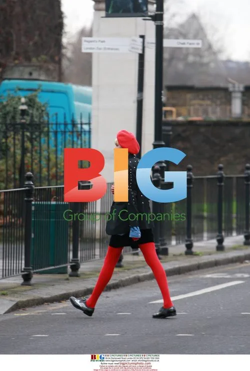 Model Agyness Deyn on a walk in North London