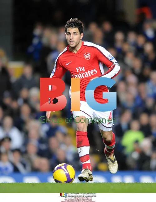 Cesc Fabregas Arsenal v Chelsea 2008