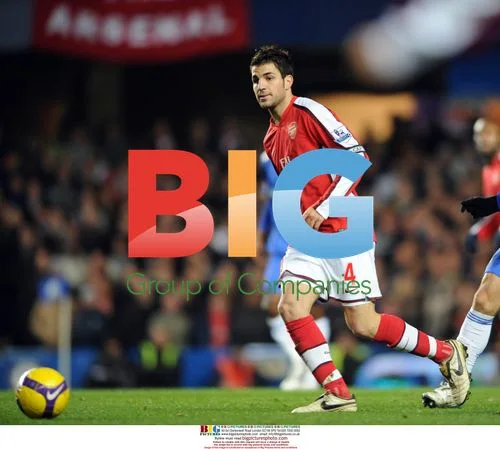 Chelsea/Arsenal (0-1) Premier League 30/11/2008