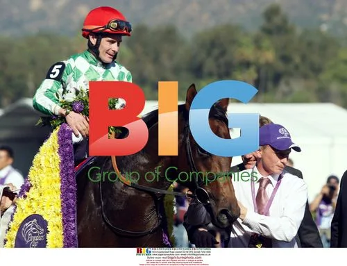 Muhannak Wins the Breeder's Cup Marathon