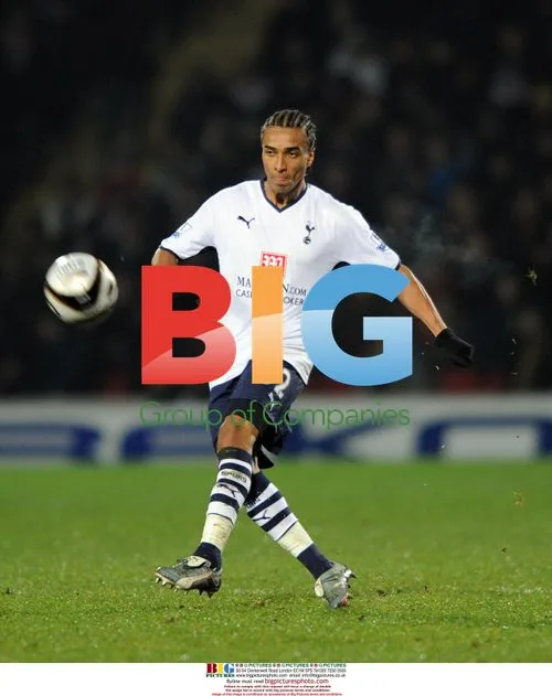 Benoit Assou-Ekotto of Tottenham at Watford