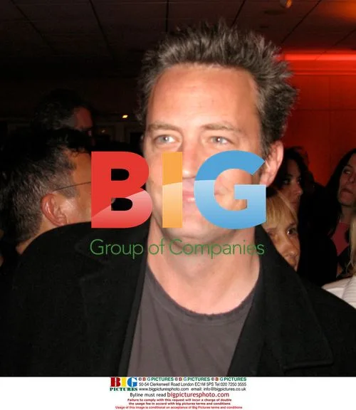 Matthew Perry at Wrestler Premiere