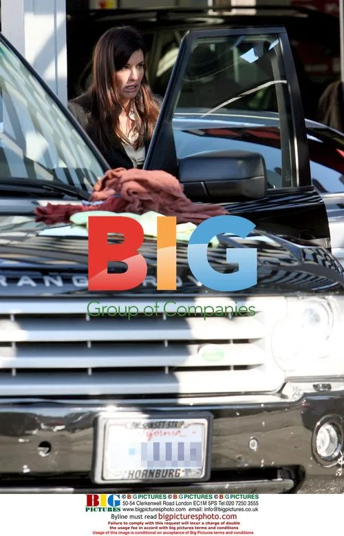 Janice Dickinson gets car washed in Hollywood