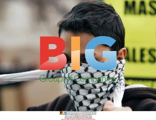 Pro-Palestinian protest in Washington, DC