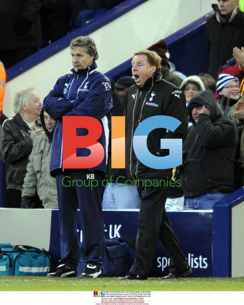Harry Redknapp at Tottenham vs West Brom match