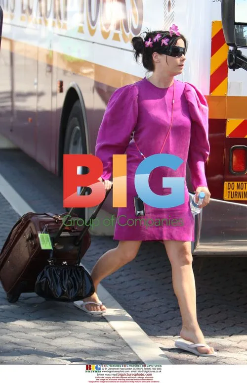 Bjork Arrives at Big Day Out in Australia