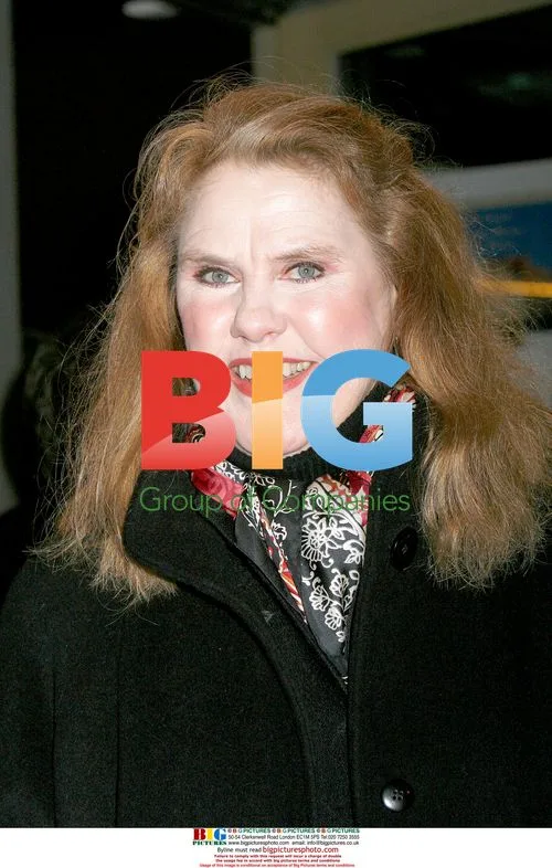 Celia Weston attends 'In Bruges' premiere