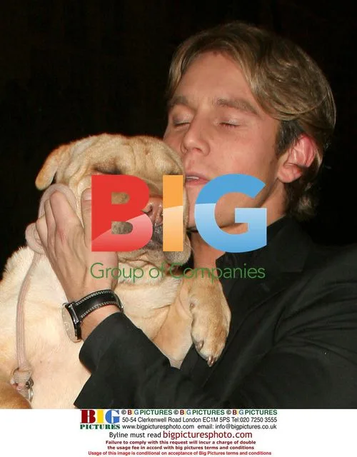 Celebrities attend Dog's Trust Honours in London