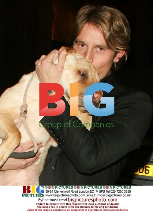 Celebrities Attend Dog's Trust Honours