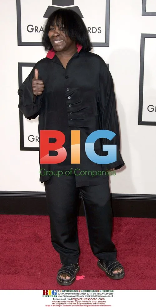 JOAN ARMATRADING at 50th GRAMMY Awards