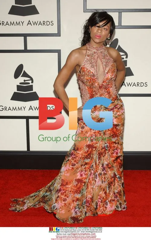 Lil' Mama at 50th Annual Grammy Awards