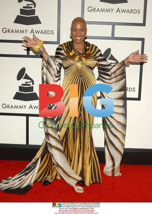 Dee Dee Bridgewater at 50th Grammys
