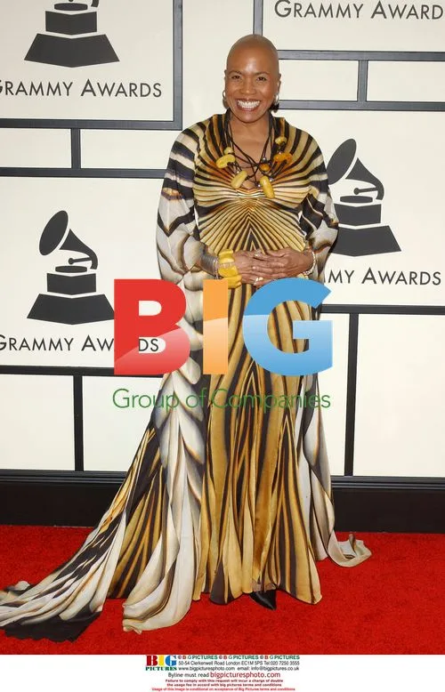 Dee Dee Bridgewater at 50th Annual Grammys