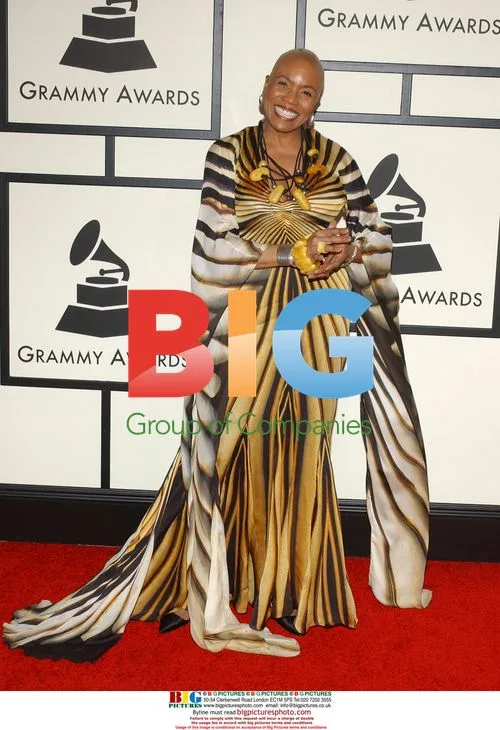 Dee Dee Bridgewater at 50th Grammy Awards