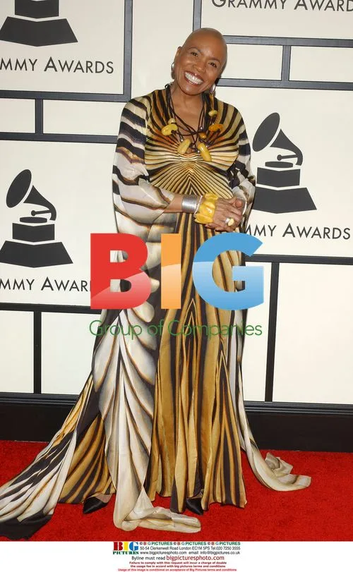 Dee Dee Bridgewater at 50th Grammy Awards