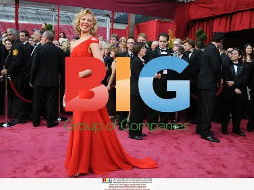 Katherine Heigl at 80th Annual Academy Awards