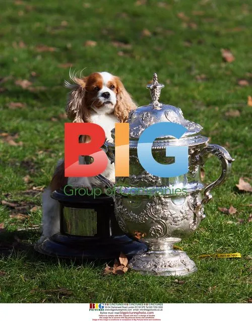 Crufts Dog Show Press Launch with James Caan