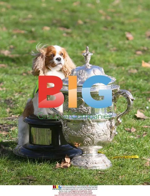 Crufts press launch with James Cann and "Smartie"