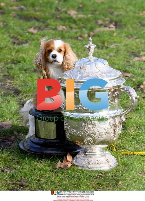 Crufts press launch with James Cann and dog