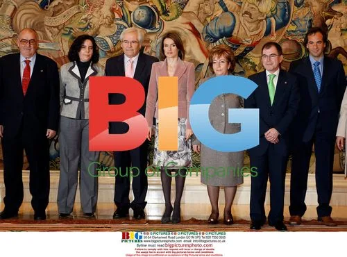 Princess Letizia Receives Charity Representation