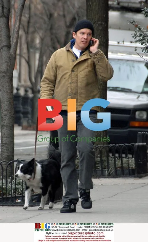 Ethan Hawke Talks on Phone, Walks Dog