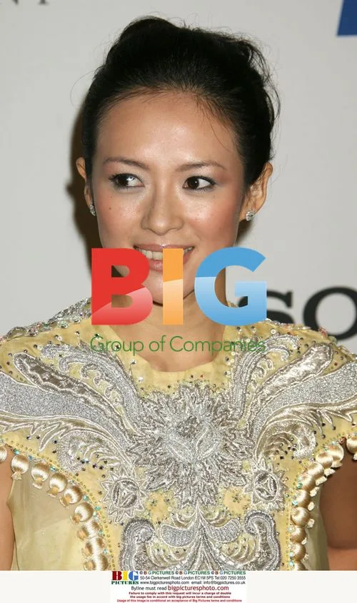 Zhang Ziyi at Clive Davis 2008 Pre-Grammy Party