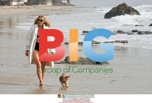Kim Cattrall films 'Sex and the City' movie in Malibu
