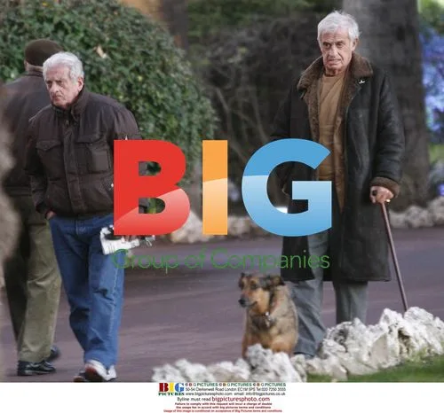 Jean Paul Belmondo walks with brother in Cannes