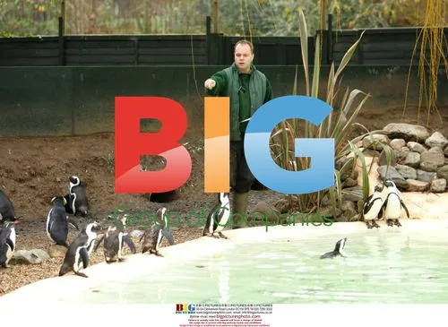 Annual London Zoo Stocktake