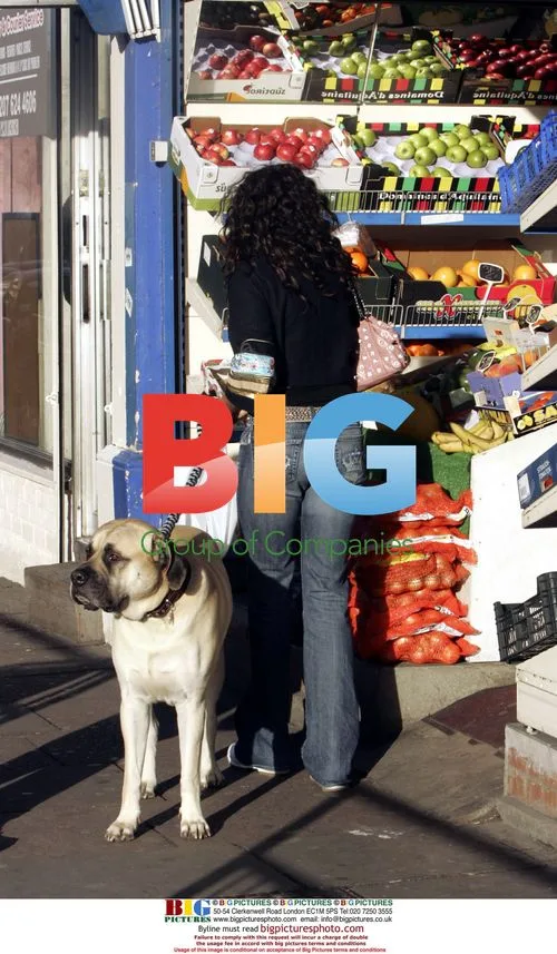 Alesha Dixon out and about in London