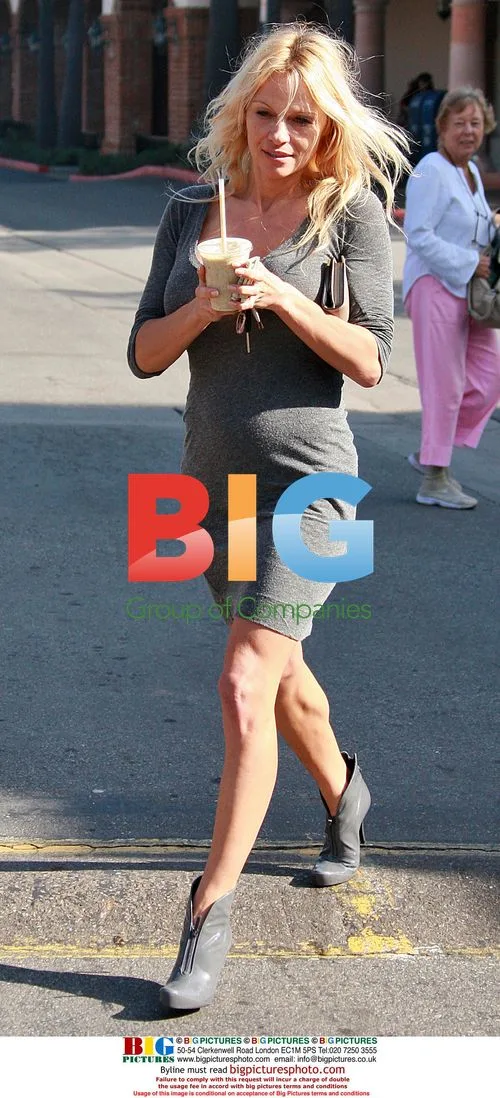Pamela Anderson and Rick Salomon reunited