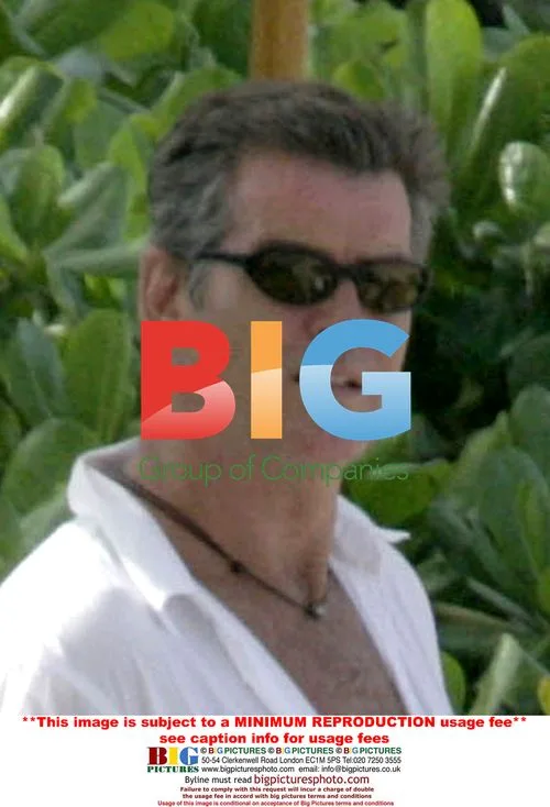 Pierce Brosnan and Wife Keely Relax on Beach