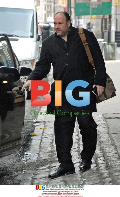 James Gandolfini with son and fiancee