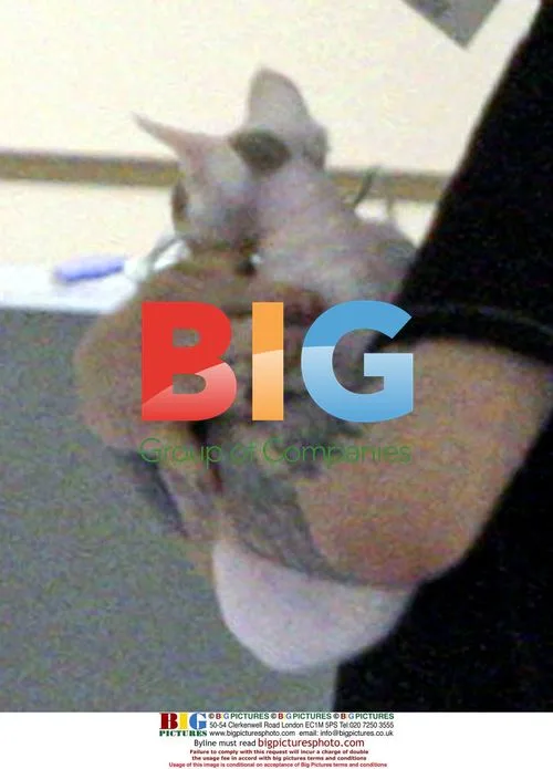 Evan Rachel Wood and Marilyn Manson Depart LAX with Cat