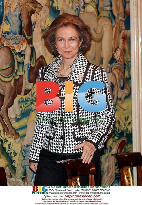 Queen Sofia awards orders of social solidarity