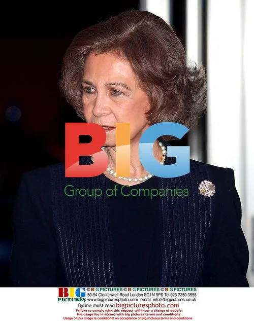 Queen Sofia Attends Concert in Madrid