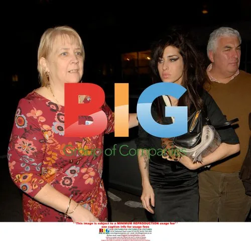 Amy Winehouse checks into rehab clinic